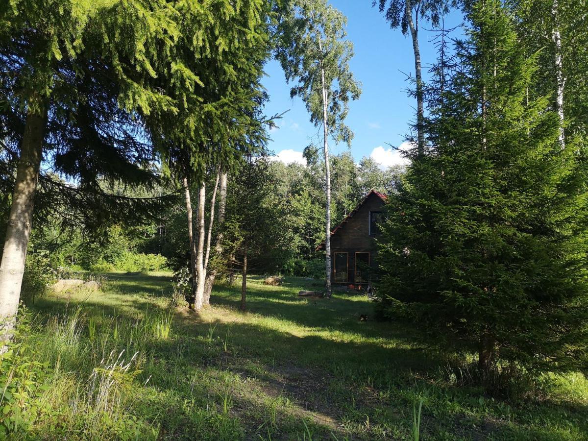 Brivdienu Maja "Raudini" Kaltene Exterior photo